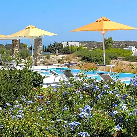 Hotel Blue Amaryllis