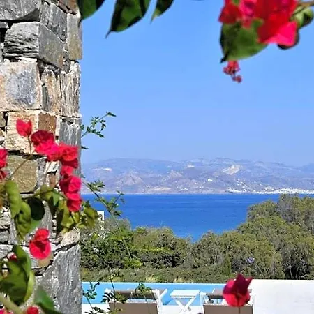 Hotel Blue Amaryllis